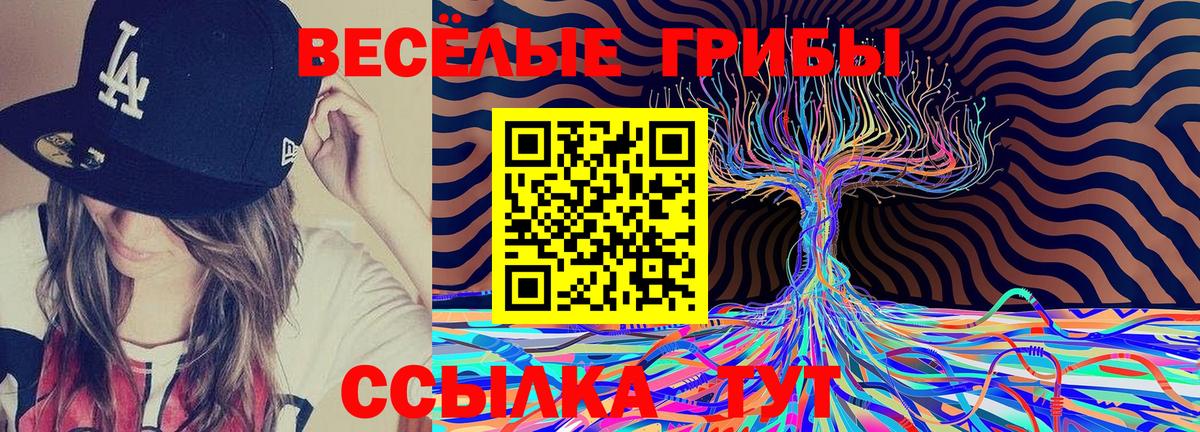 Галлюциногенные грибы Psilocybine cubensis Тихвин