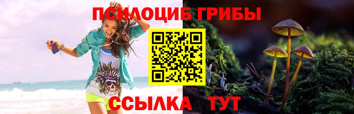 Псилоцибиновые грибы ЛСД  Псилоцибиновые грибы Psilocybine cubensis  Тихвин  Вход с VPN 